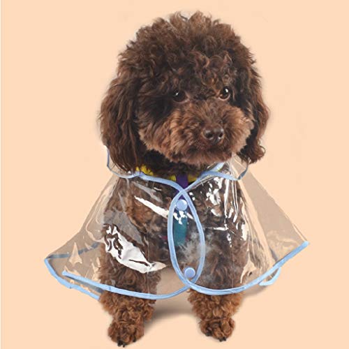 Impermeable Perro Chubasquero Transparente con Capucha Lindo Suministros para Mascotas para Lluvia Chubasqueros para Perro Pequeño Perro Ultra Estilo Ins HULKY(Azul,L)