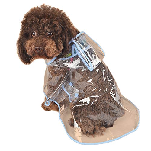 Impermeable Perro Chubasquero Transparente con Capucha Lindo Suministros para Mascotas para Lluvia Chubasqueros para Perro Pequeño Perro Ultra Estilo Ins HULKY(Azul,L)