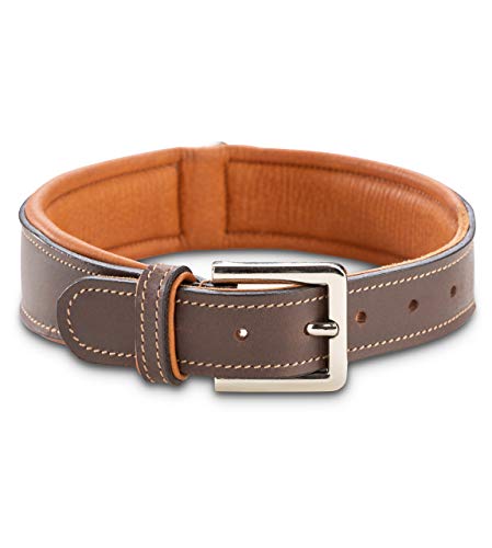 Jack & Russell Premium Perro Cuero Collar Amy - Collar de Cuero Genuino con Grabado Original de J & R Sello en Relieve - Robusto y Elegante (XS - Circunferencia del Cuello 28,0-34,5 cm)