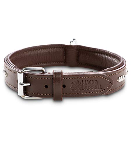 Jack & Russell Romeo - Collar de Piel para Perro con Remaches en Relieve, Piel de búfalo y napa de Vacuno