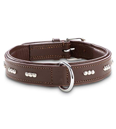 Jack & Russell Romeo - Collar de Piel para Perro con Remaches en Relieve, Piel de búfalo y napa de Vacuno