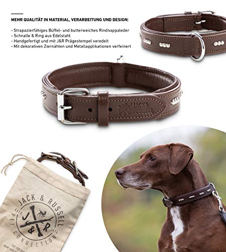 Jack & Russell Romeo - Collar de Piel para Perro con Remaches en Relieve, Piel de búfalo y napa de Vacuno