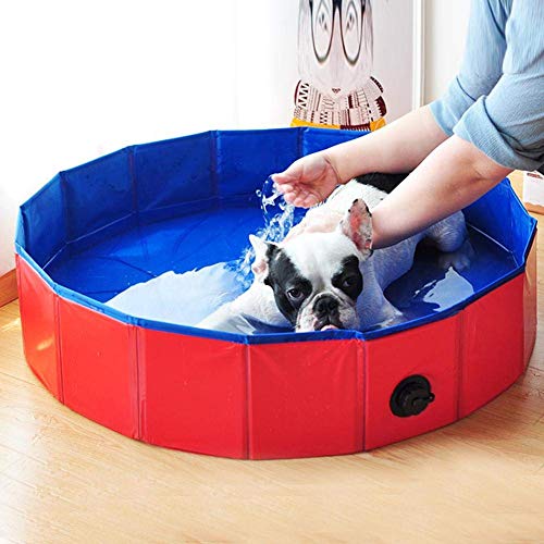 JACKWS Perro casero Plegable Piscina, Azul Mascotas de baño de hidromasaje, portátil PVC Perro Piscina, for Perros Gatos del niño del baño del bebé niños juegan Piscina (Color : 80 * 30cm)