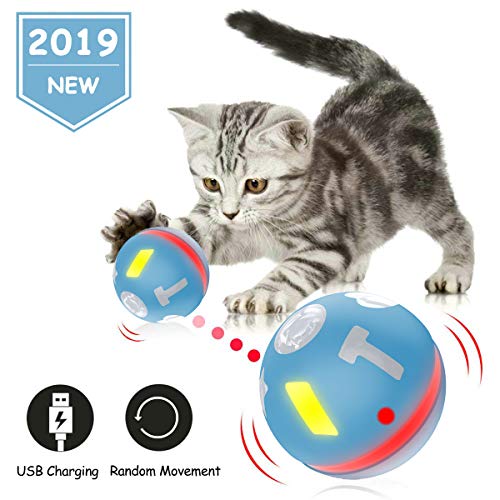 JIAMA Bola de Gato, Juguetes para Gatos Pelotas, Carga USB Bola Giratoria Automática, Bola Eléctrica de 360 Grados Juguete Interactivo con luz LED para Ejercicio Animal Doméstico Gatos (Azul)