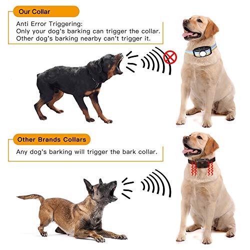 JJOBS Collar Antiladridos para Perros para Addestramento Automático, con Ajustable Vibración sin Descarga Eléctrica, Impermeable y Recargable