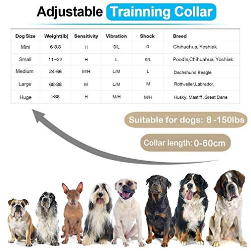 JJOBS Collar Antiladridos para Perros sin Descarga Eléctrica, 5 Niveles de Sensibilidad, Collar Adiestramiento Impermeable y Recargable