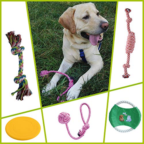 Juegos de perros, juego de 10 piezas + 1. Juguetes de cuerda para tamaños pequeños y medianos. Cuerdas de mascar resistentes. Cuerdas para perros en 100% algodón y duraderas