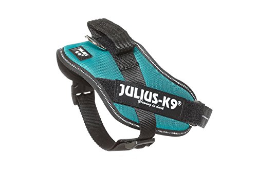 Julius-K9 16IDC - Power Harness