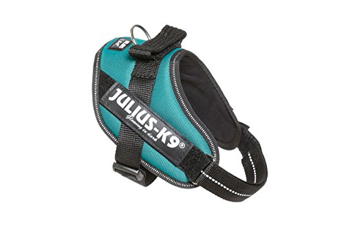 Julius-K9 16IDC - Power Harness