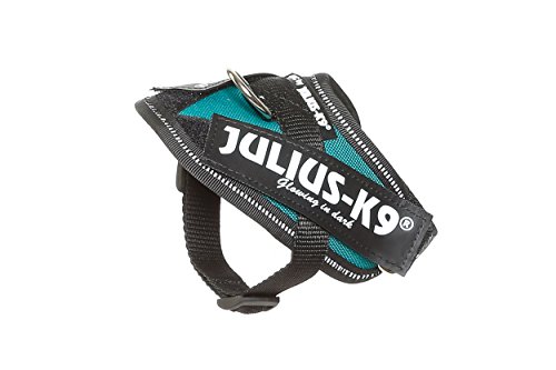 Julius-K9 16IDC - Power Harness