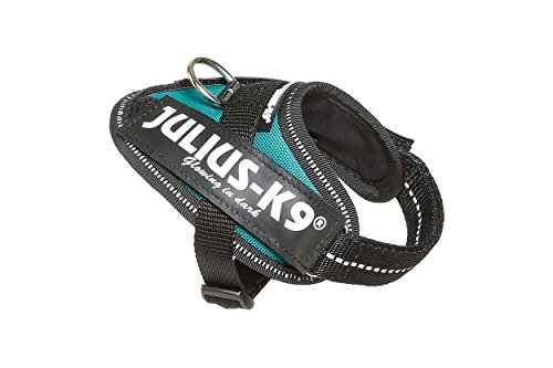 Julius-K9 16IDC - Power Harness