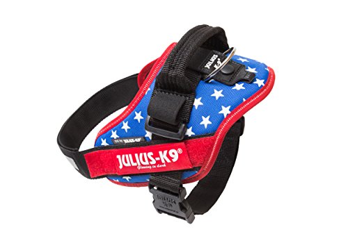 Julius-K9 16IDC - Power Harness