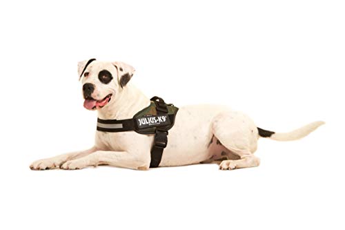 Julius-K9 16IDC - Power Harness