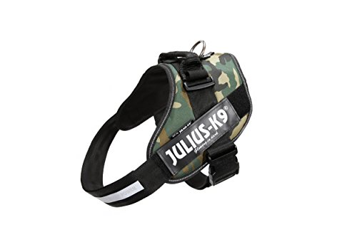 Julius-K9 16IDC - Power Harness