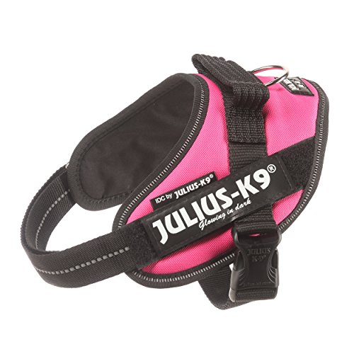 Julius-K9 16IDC - Power Harness