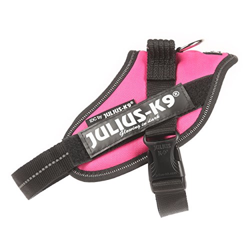 Julius-K9 16IDC - Power Harness