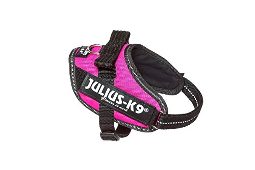 Julius-K9 16IDC - Power Harness