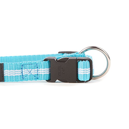 Julius-K9 216HB-IDC-NL-AM Collar de Correas Tubulares IDC, 19 mm x 27-42 cm, Aguamarina