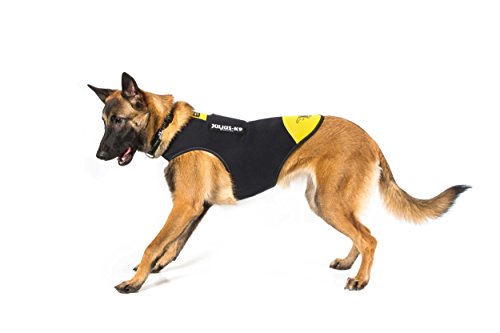 Julius-K9, Chaqueta de neopreno para perro IDC, Talla: M, Negro y Amarillo