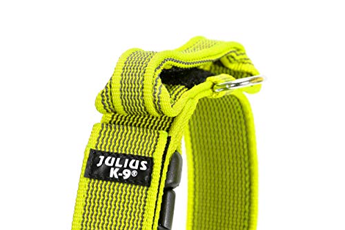 Julius-K9 Collar Color & Gray con la manija, la Cerradura de Seguridad y el Remiendo Intercambiables, 40 mm (38-53 cm), Neón-Gris