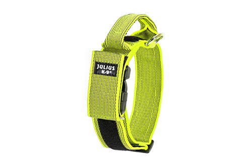 Julius-K9 Collar Color & Gray con la manija, la Cerradura de Seguridad y el Remiendo Intercambiables, 40 mm (38-53 cm), Neón-Gris