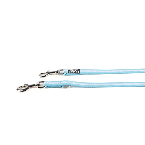 Julius-K9 Correa Tubular de IDC para Perros, Ajustable, 2.2 M x 19 mm, Aguamarina, Aquamarine