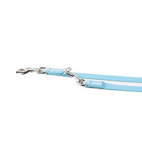 Julius-K9 Correa Tubular de IDC para Perros, Ajustable, 2.2 M x 19 mm, Aguamarina, Aquamarine