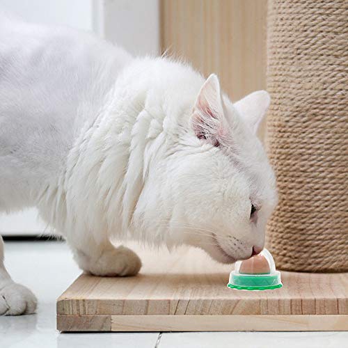 JUXU Pet Cat Snacks Candy, Catnip Sugar Nutrition Gel Energy Ball Toy, golosinas saludables Que lamen el Caramelo sólido para Gatos Gatitos