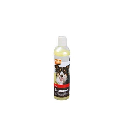 Karlie 1030840 Champú Perro con Huevo, 300 ml, M