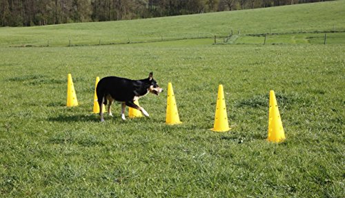 Kerbl Agility Cone-Three Hurdle - Set de 3 Conos, Color Amarillo