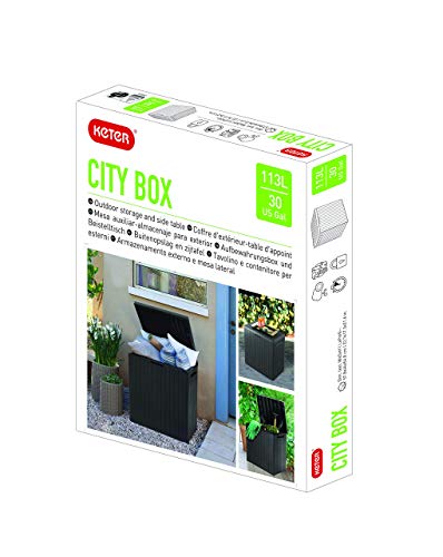 Keter City Box Arcón, Efecto Madera