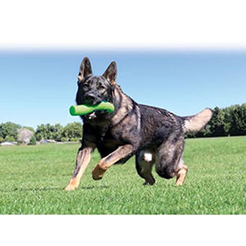 KONG 0035585004341 - Durasoft Stick Large