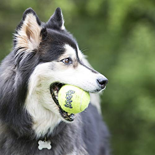 KONG - Squeakair® Ball with Rope - Pelotas de tenis sonoras que respetan sus dientes - Raza mediana