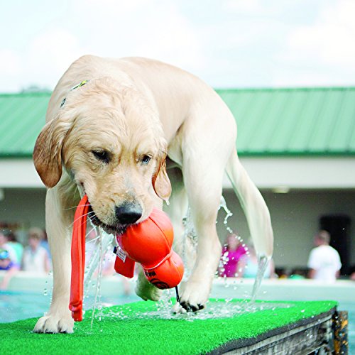 KONG - Wubba™ Wet - Flotador para perro, para jugar en el agua - Raza grande (varios colores)