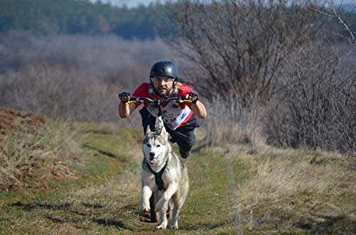 LasaLine Perros Tren Vajilla X de Back para CANI Cross de Ciclismo, esquí de jöring Scooter Trineo Negro Neon Amarillo