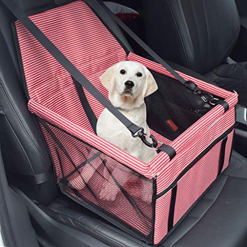 LEEDY - Correa de Seguridad para Asiento de Coche, Lavable para Gatos medianos, Perros y Gatitos, con Cierre y Bolsillo de Almacenamiento