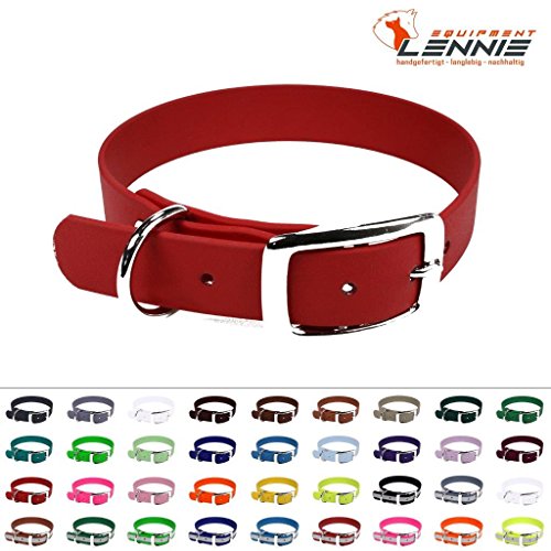 Lennie collar en Biothane® con hebilla con Ardillon para perro anchura 25 mm