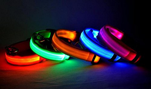 Lesypet Luz LED intermitente perro mascota collar de seguridad ajustable de nylon 2,5 cm de ancho (Rojo, Amarillo, Azul, Verde, Naranja, Rosa) & (Pequeño, Mediano, Grande, Extra Grande)