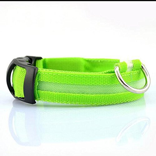 Lesypet Luz LED intermitente perro mascota collar de seguridad ajustable de nylon 2,5 cm de ancho (Rojo, Amarillo, Azul, Verde, Naranja, Rosa) & (Pequeño, Mediano, Grande, Extra Grande)