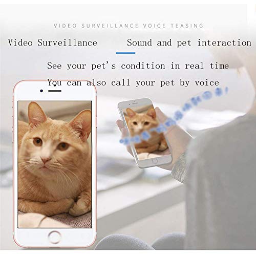 LGFB Pet alimentador automático de alimentación de la cámara Perro monitoreo Remoto de Video vigilancia App monitorización Inteligente HD sincronización Duradero Dieta del Gato Suministros 4L,Negro