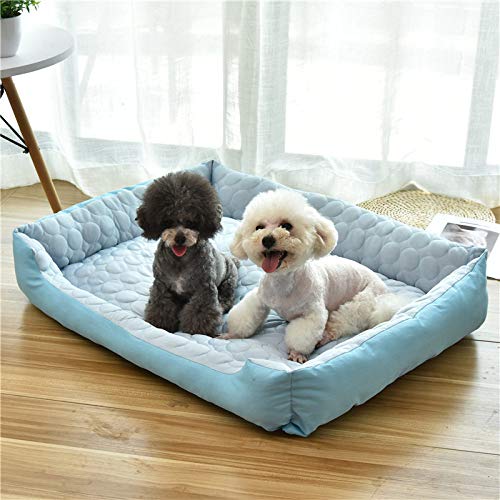 LGFSG Colchoneta Summer Dog Cat Bed Pet Cool Mat Casa para Mascotas para Cachorros Cojín para Dormir para colchón Mediano Grande para Enfriador de Perros, Azul, M 60x45x13cm