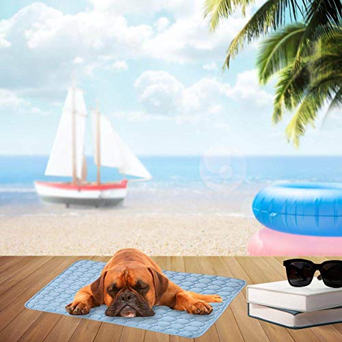 LGFSG Estera de enfriamiento para Mascotas de Verano Estera de Perro a Prueba de Humedad de Seda de Hielo Enfriador de colchón Fresco Estera de Dormir de Gatito Gato Cachorro, Azul, 70x56cm