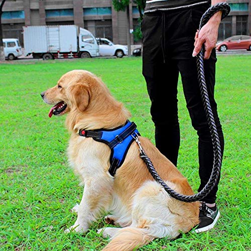 Lienzo de Algodón Chaleco Arnés para Perros para Perros Transpirable Entrenamiento Correa para el Pecho del arnés para Ropa para Perros Líder Mascota Correa Bulldog M 03