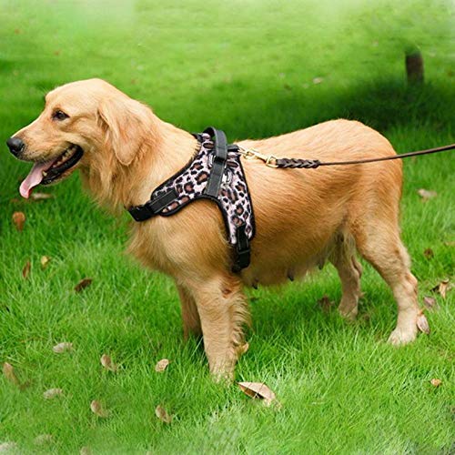 Lienzo de Algodón Chaleco Arnés para Perros para Perros Transpirable Entrenamiento Correa para el Pecho del arnés para Ropa para Perros Líder Mascota Correa Bulldog M 03