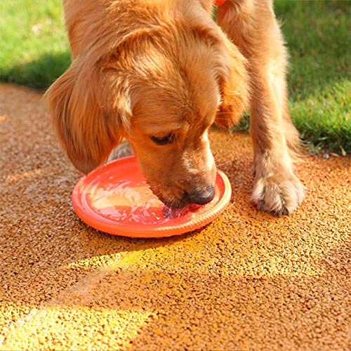 LILUN6 Frisbee de Entrenamiento Interactivo para Perros: Juguete Impermeable y Resistente a Las mordeduras, Ligero, Naranja, Adecuado para Perros pequeños. 9 Pulgadas de diámetro