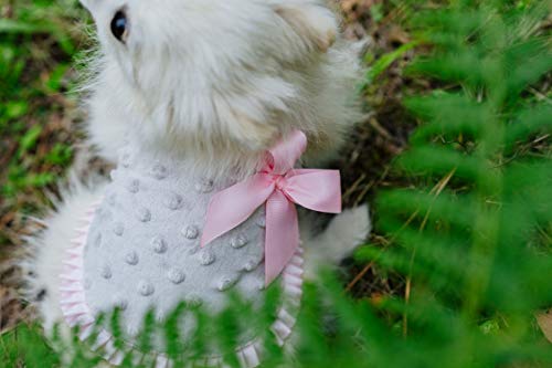 Linda Poms Abrigo para niña Gato Perro Ropa para Perros pequeños Chaqueta Mascotas Traje cálido (XS)