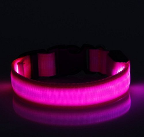 Liroyal Collar de nailon para perro con luz LED, ideal para verlos en la oscuridad