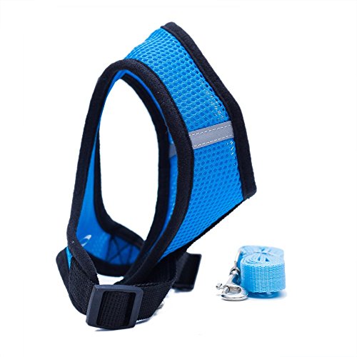 Locisne Tela de malla chaleco para perros Arnés suave ajustable cómodo | El plomo en el pecho del animal doméstico caminar con correa con clip (azul, Grande)