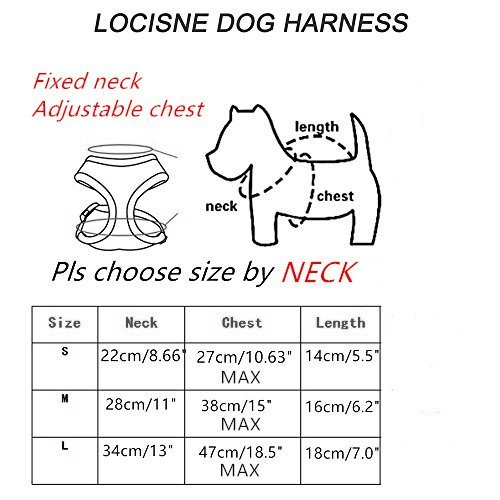 Locisne Tela de malla chaleco para perros Arnés suave ajustable cómodo | El plomo en el pecho del animal doméstico caminar con correa con clip (azul, Grande)