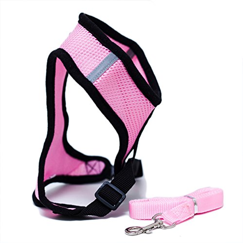 Locisne Tela de malla chaleco para perros Arnés suave ajustable cómodo | El plomo en el pecho del animal doméstico caminar con correa con clip (Rosa, Grande)